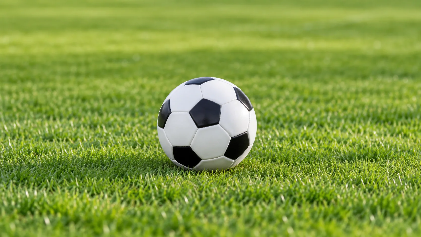 vsport体育在线官网